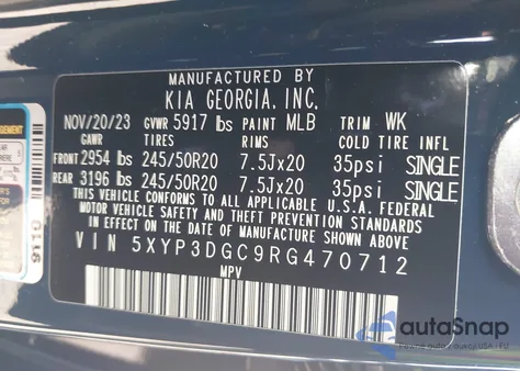 2024 Kia Telluride Ex from USA, damaged, VIN 5XYP3DGC9RG470712